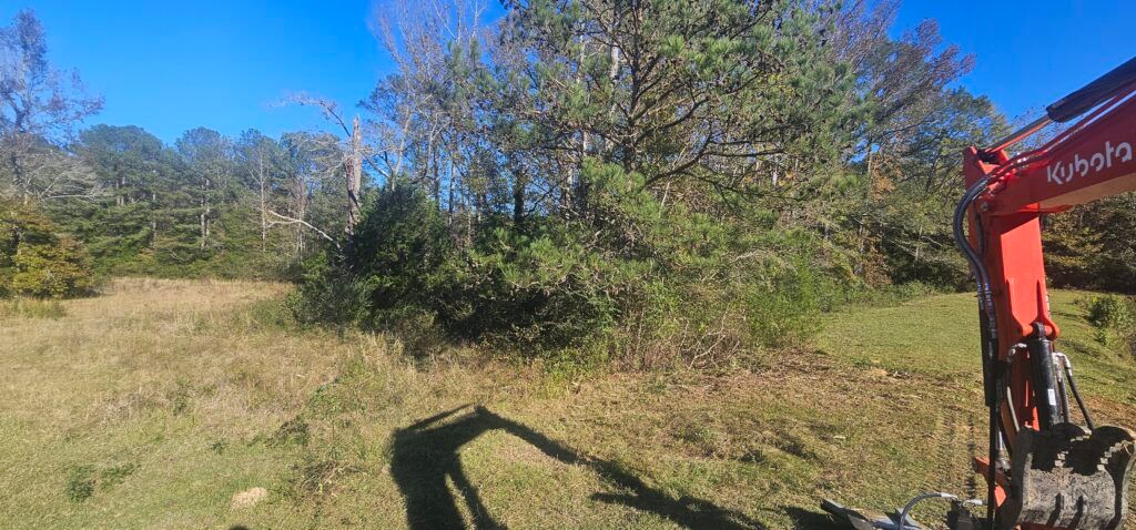 Grassy hillside with trees under a blue sky; red excavator arm at right edge and a person’s shadow in foreground