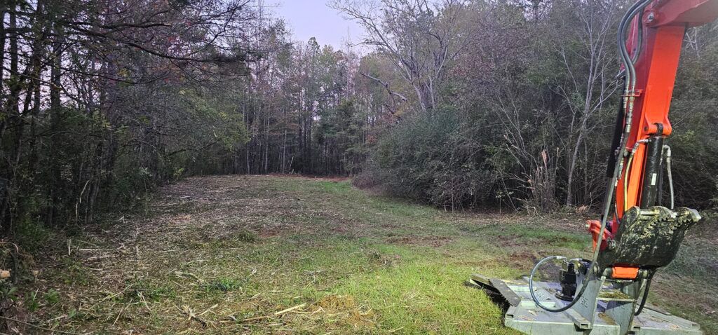 Cleared grassy field beside woods, with an orange excavator arm at the right edge