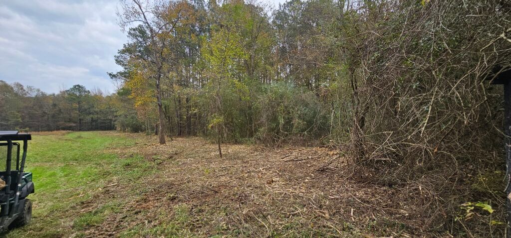Cleared field beside dense trees under a partly cloudy sky, with part of a vehicle at left.