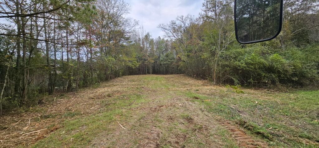 Grassy clearing bordered by trees, with a dirt path leading into the woods.