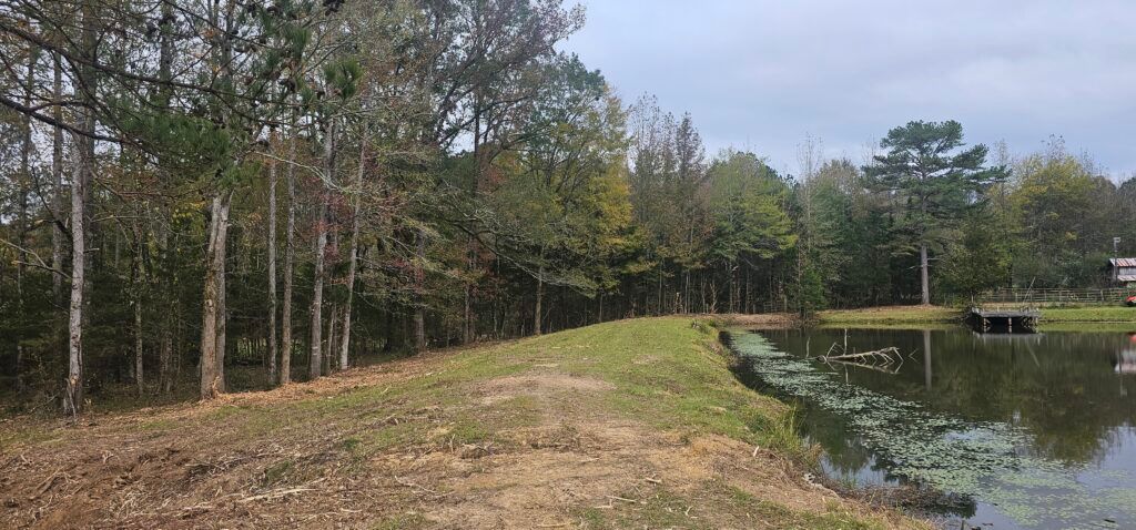 Wooded lakeside path with calm water, trees, and a cloudy sky