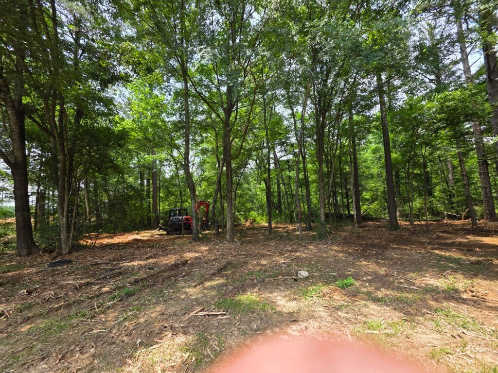 Wooded clearing with a parked vehicle under trees and dry leaves on the ground