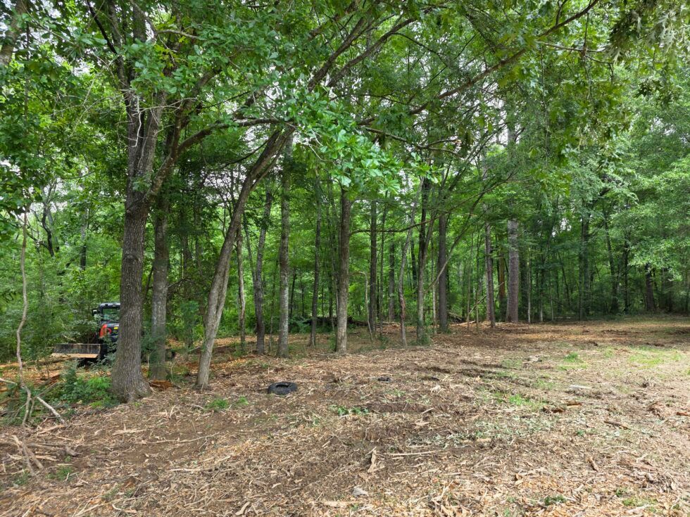 Cleared wooded lot with trees, bare ground, and a small tractor on the left