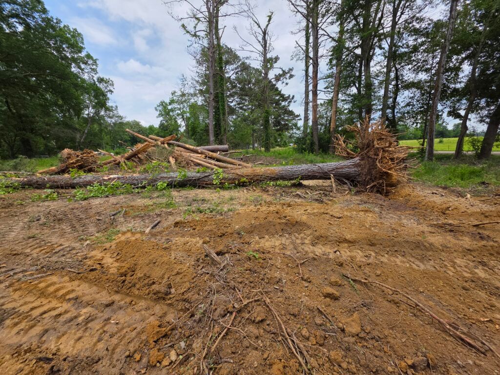 Cleared dirt lot with fallen trees and brush beside a wooded area