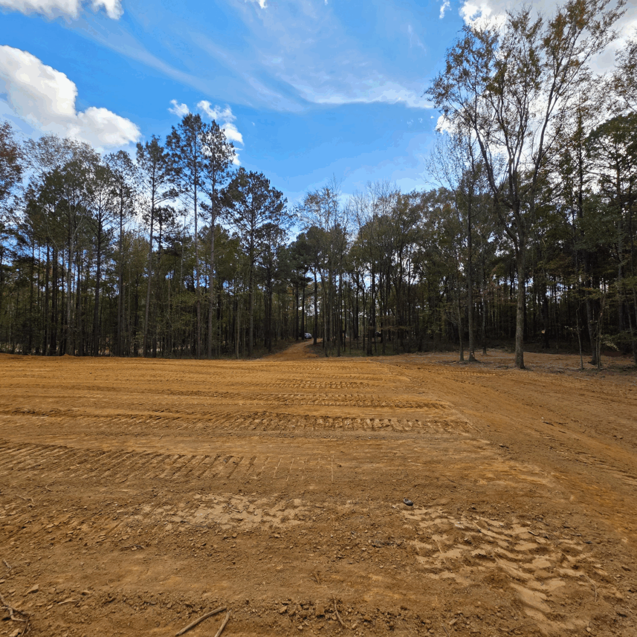 Cleared dirt field beside a tree line under a blue, partly cloudy sky