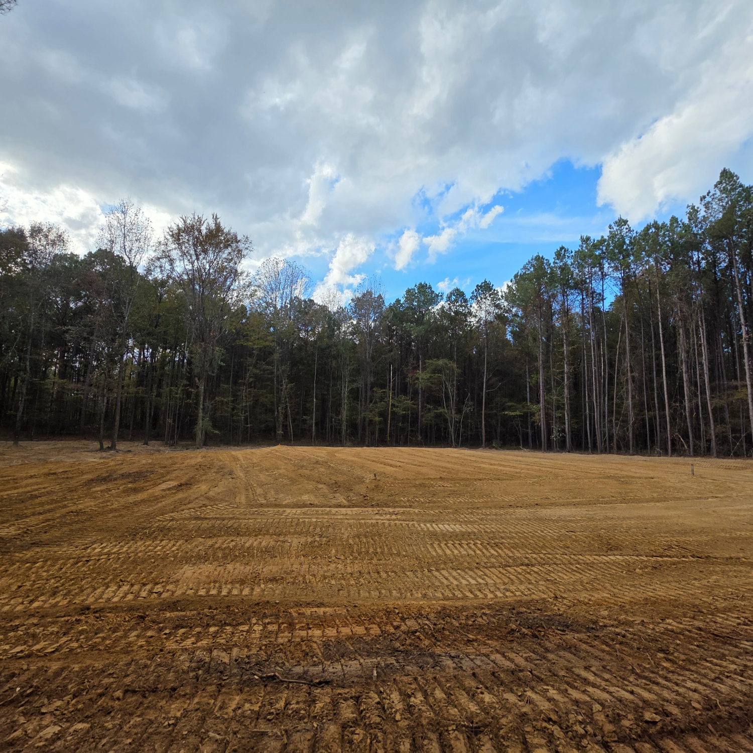 Recently cleared field beside a tree line under a cloudy blue sky