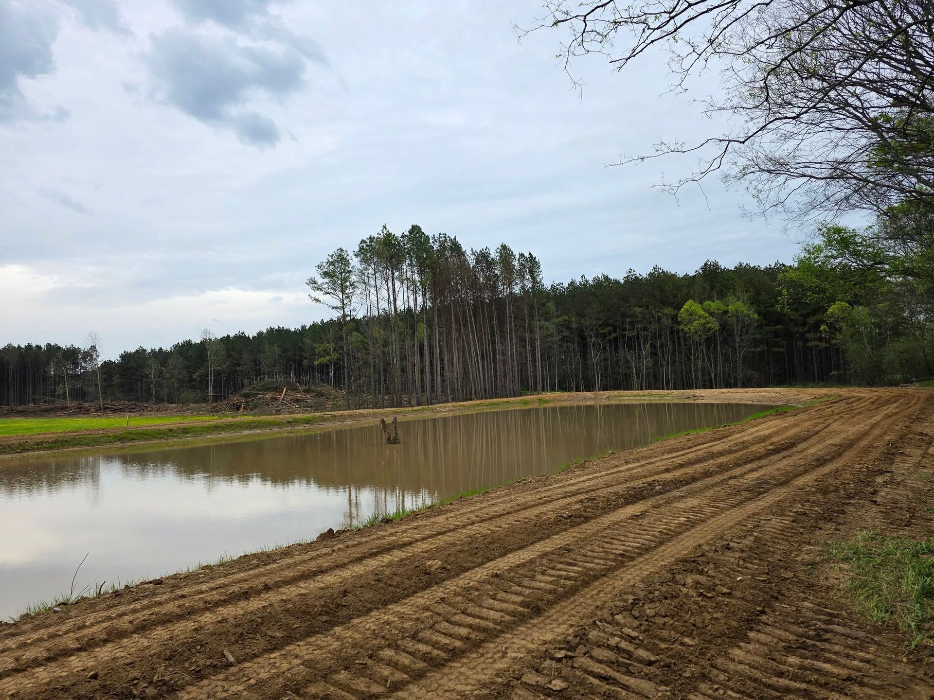 Sandy dirt road beside a calm pond, with pine trees and a cloudy sky in the background