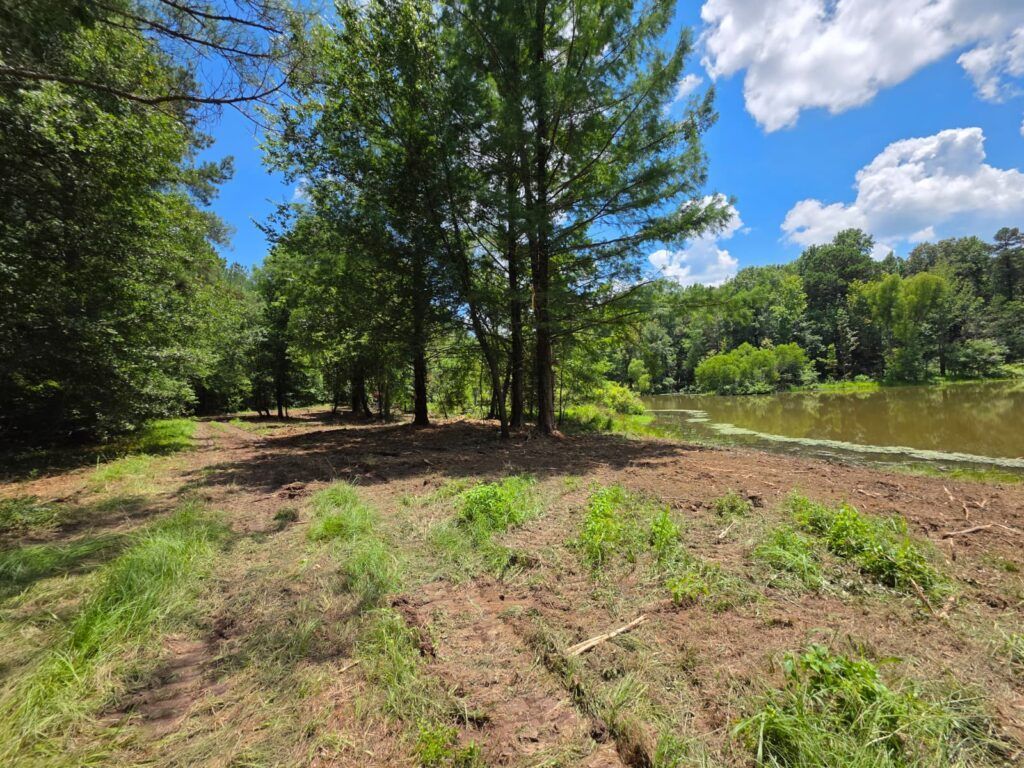 Wooded riverside clearing with muddy ground, tall trees, and blue sky with clouds