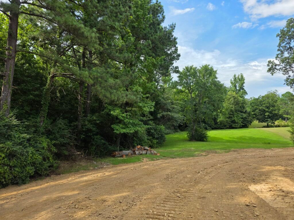 Dirt path beside dense green trees and a grassy field under a blue sky with clouds