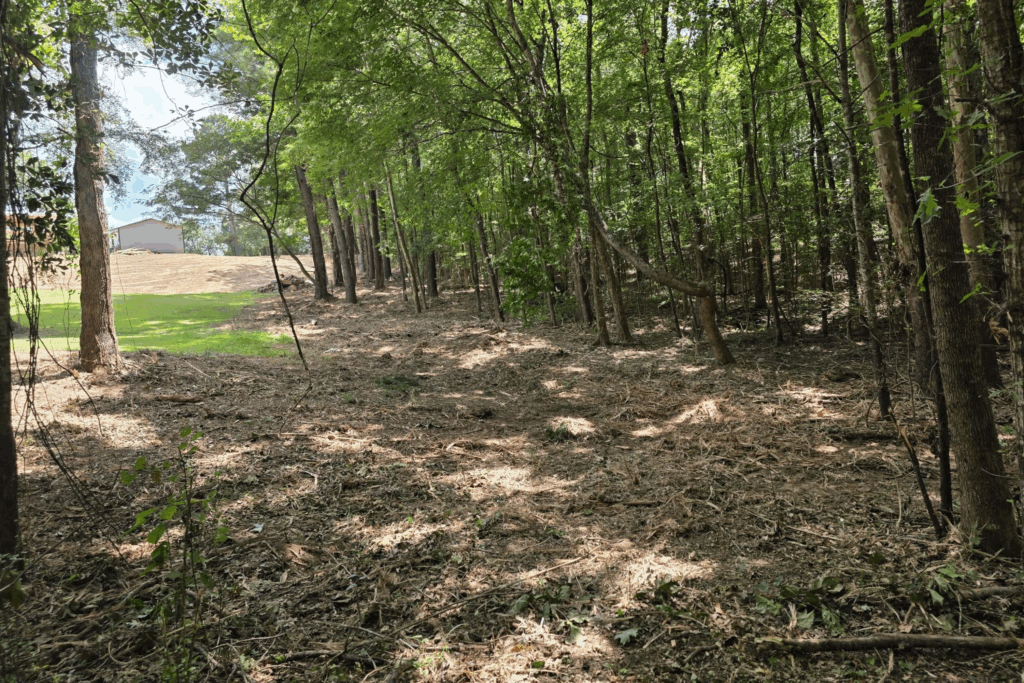 Wooded path with sunlight filtering through trees beside an open field