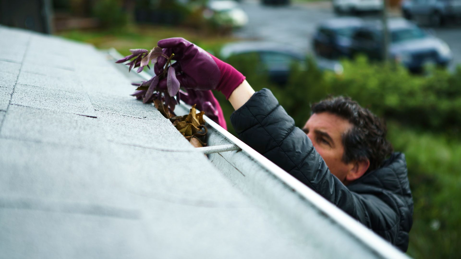 Person on ladder cleaning leaves from house gutters. Person on ladder cleaning leaves from house gutters.
