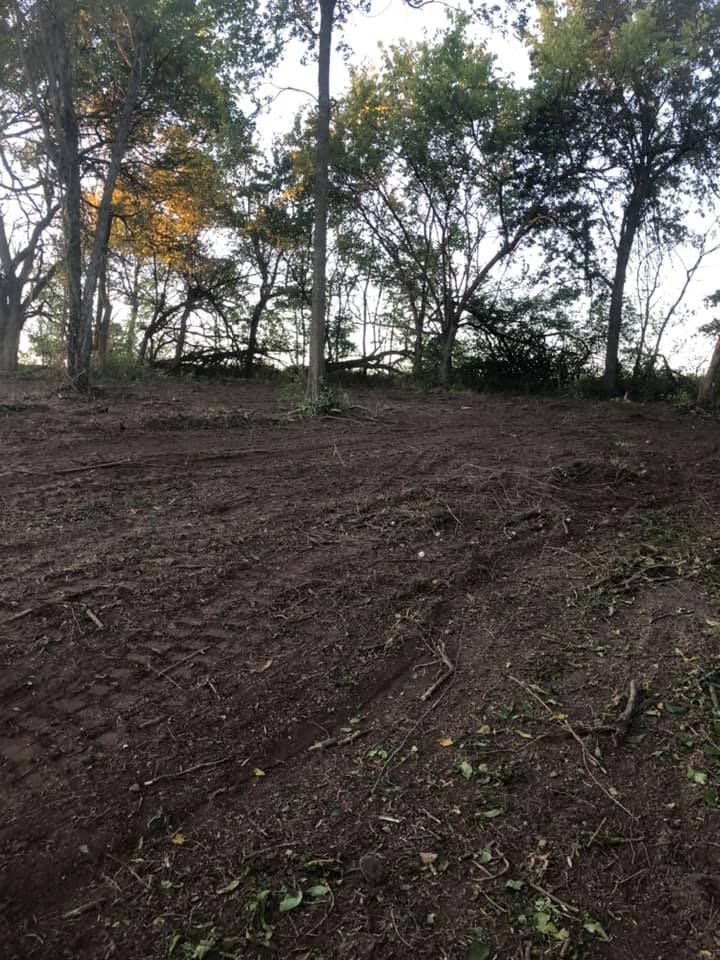 A cleared dirt area in front of trees with fall foliage.