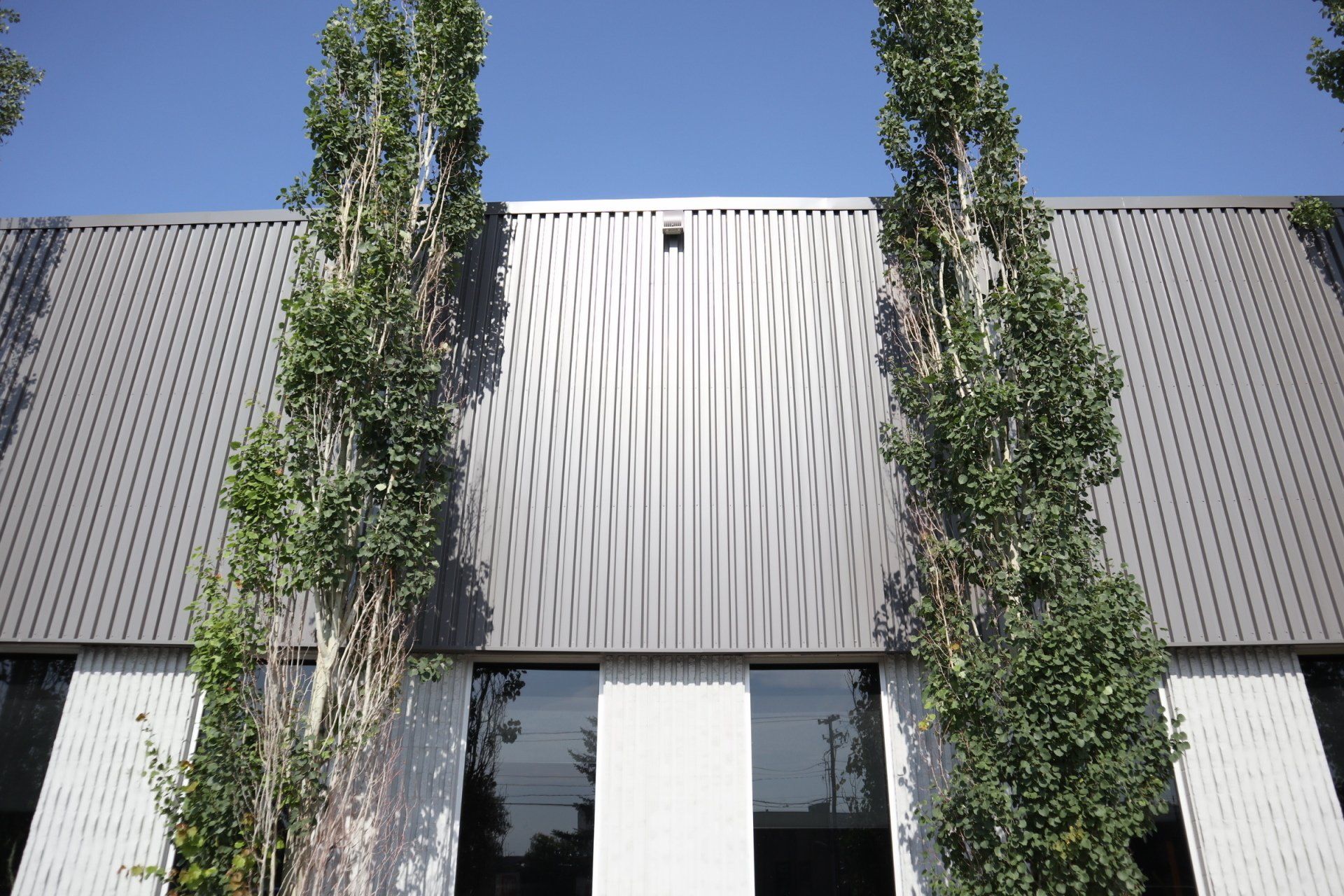 a building with a lot of windows and trees on the side