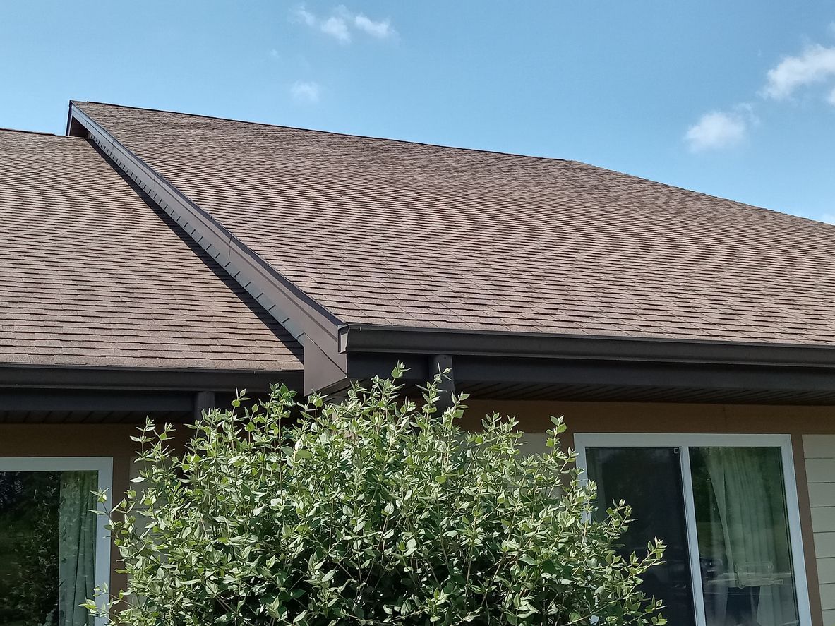 Close-up of a roof with wavy shingle shadows and a leafy bush in front, under a blue sky.