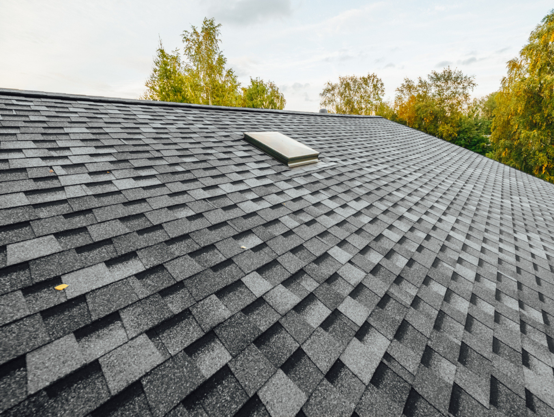 Gray shingled roof with a skylight, viewed against trees under a bright sky