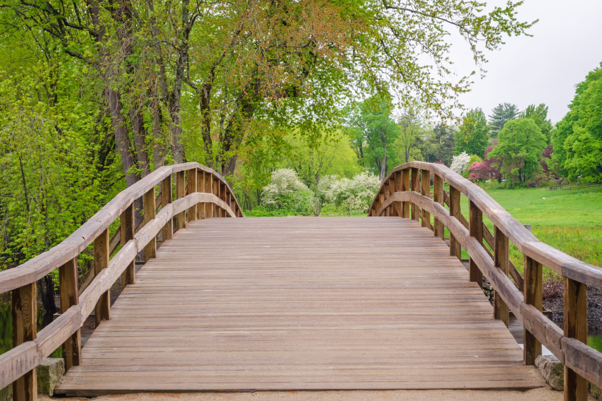 Wooden footbridge with curved railings spanning a lush green park trail