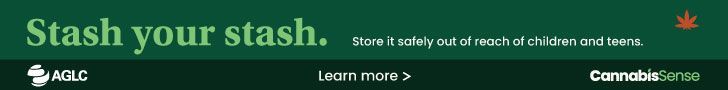 Green banner reading “Stash your stash.” with small white subtext and a leaf icon on the right