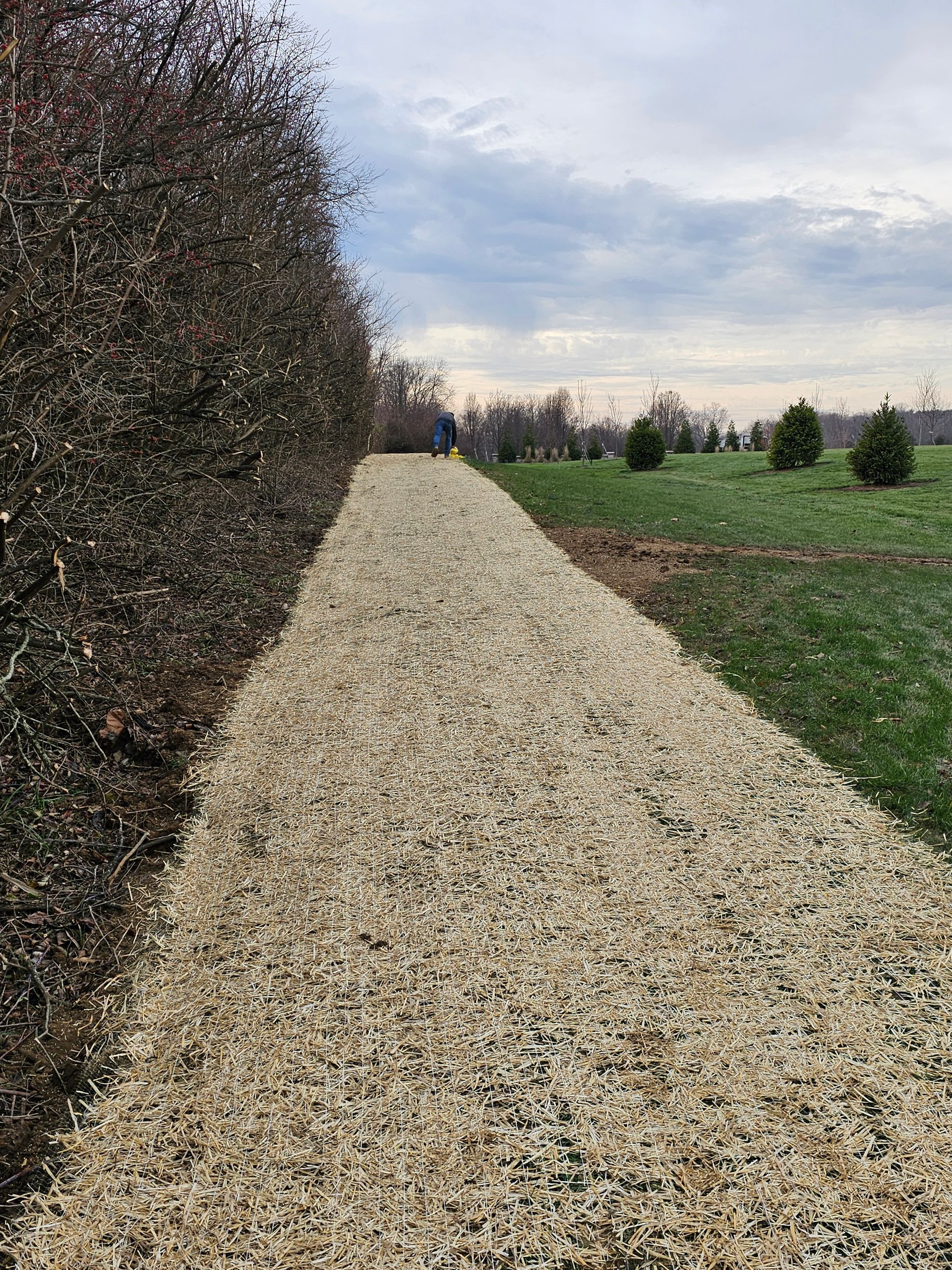 A gravel road going through a field with trees on both sides.