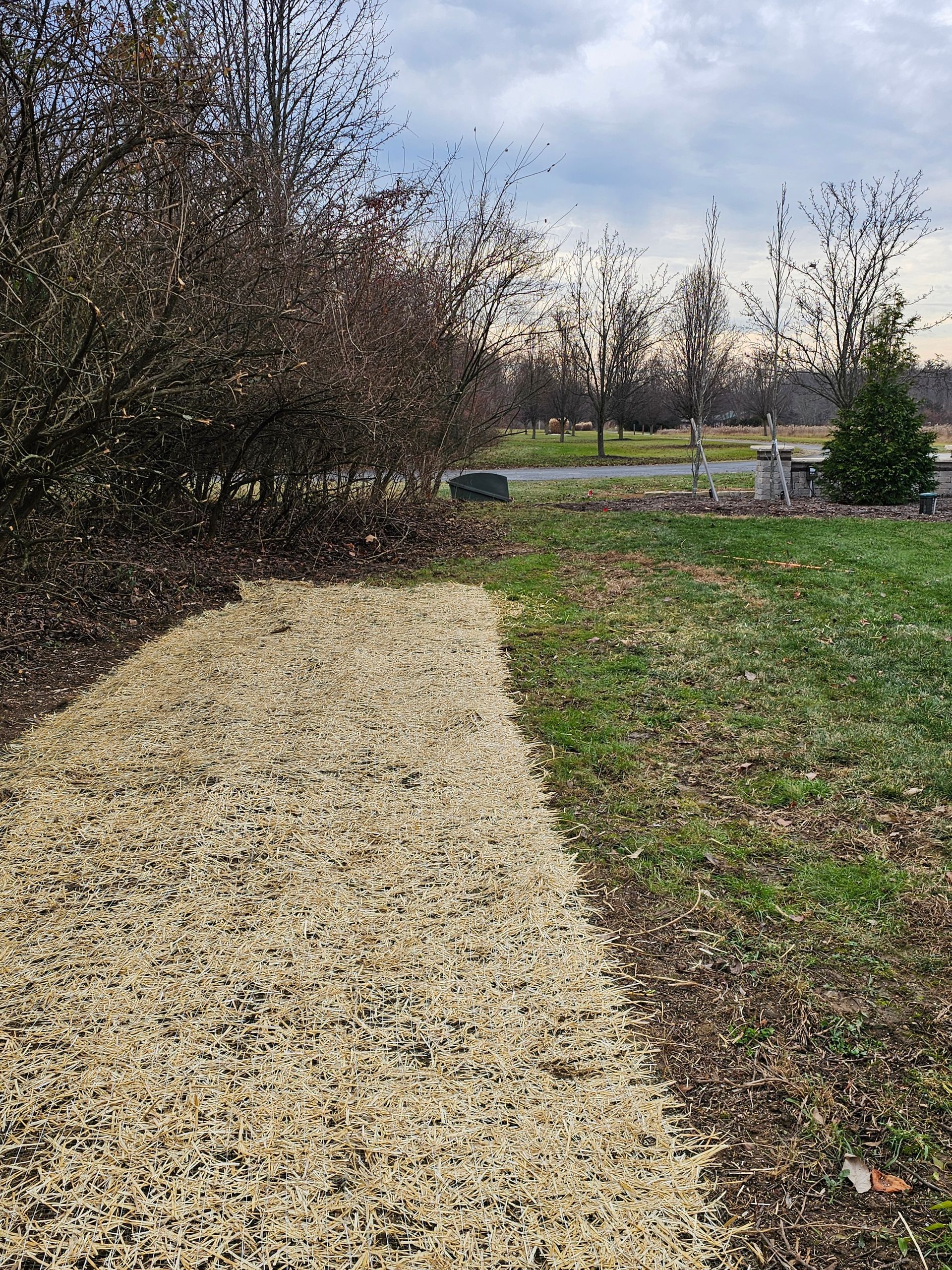 A dirt road going through a grassy field with trees in the background.