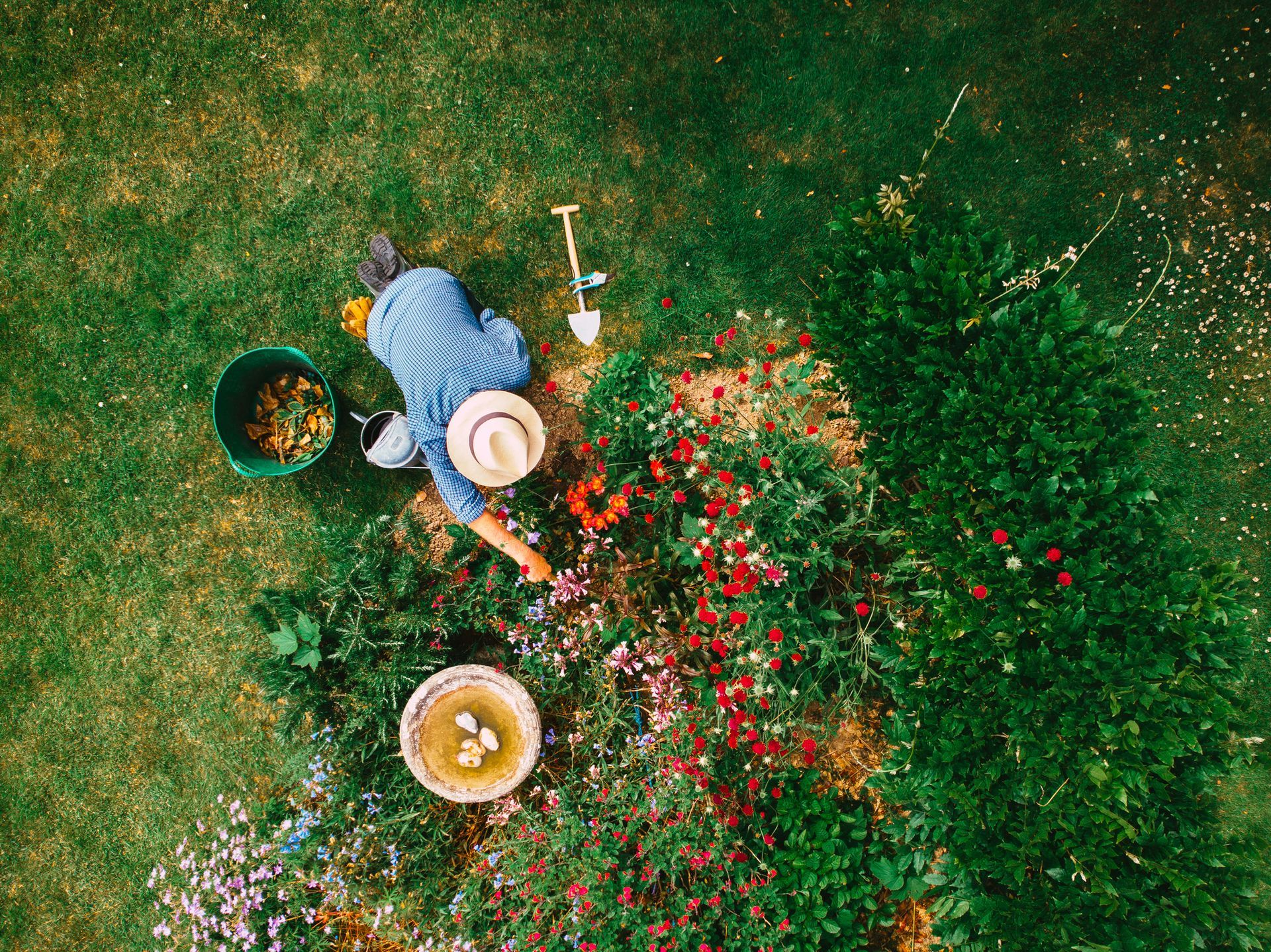 An aerial view of a woman planting flowers in a garden.