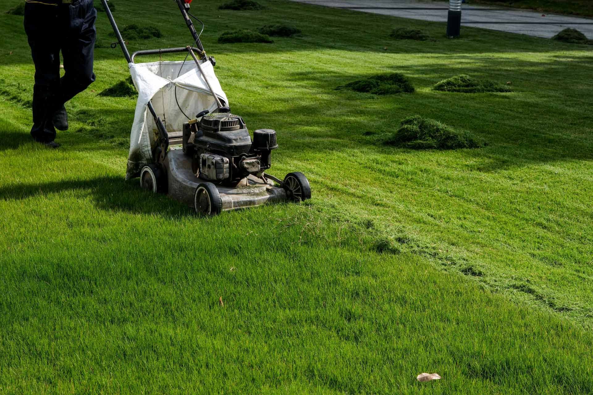 A person is mowing a lush green lawn with a lawn mower.