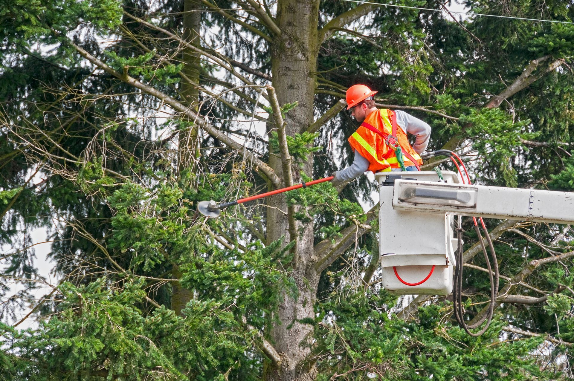 A man is cutting a tree from a bucket truck.