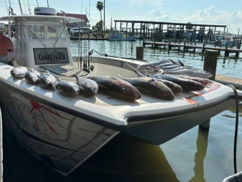 Several freshly caught tuna arranged on the bow of a charter fishing boat docked at a marina on a sunny day.