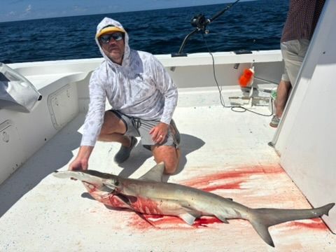 A person in a hooded shirt kneels on a boat deck next to a hammerhead shark resting on the floor.