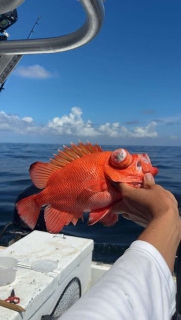 A person holds a bright orange rockfish with bulging eyes on a boat against a blue ocean and sky backdrop.