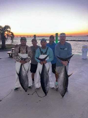 Five people stand on a concrete pier at sunset, each holding a large tuna, with a bridge in the distant background.