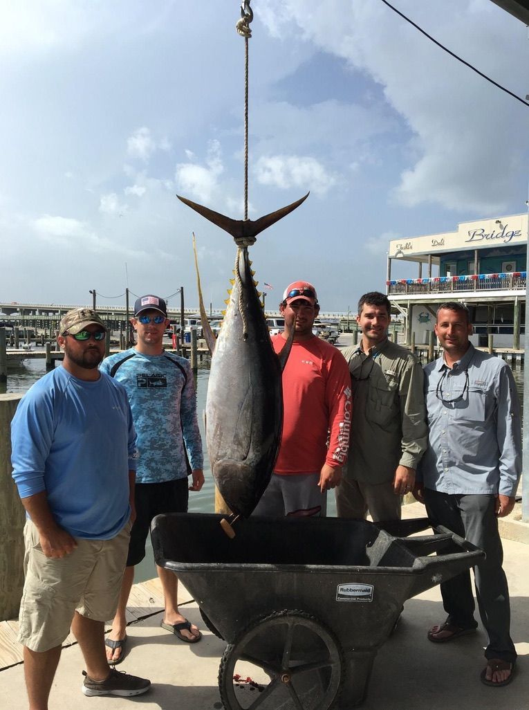 Five people stand on a dock posing with a large tuna hanging from a scale above a black utility cart.