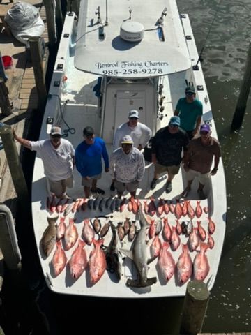 Seven people stand on a boat deck surrounded by a large catch of various fish and a hammerhead shark at a dock.