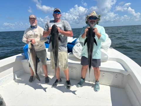 Three people holding large fish while standing on a boat on the water under a blue, sunny sky.