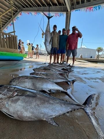 Four people stand under a pavilion behind several large tuna laid out on a concrete dock.
