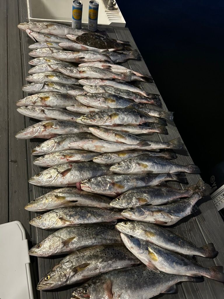 A large catch of fish lined up on a wooden dock next to two beverage cans.