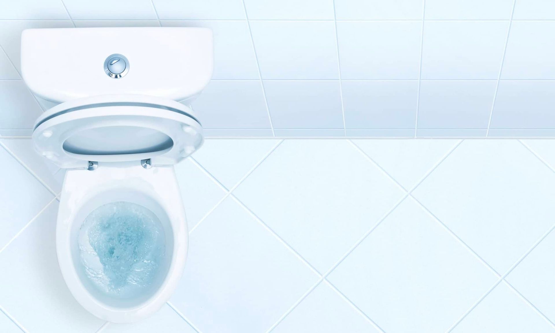 Must-Know Facts Buying A Toilet Spray