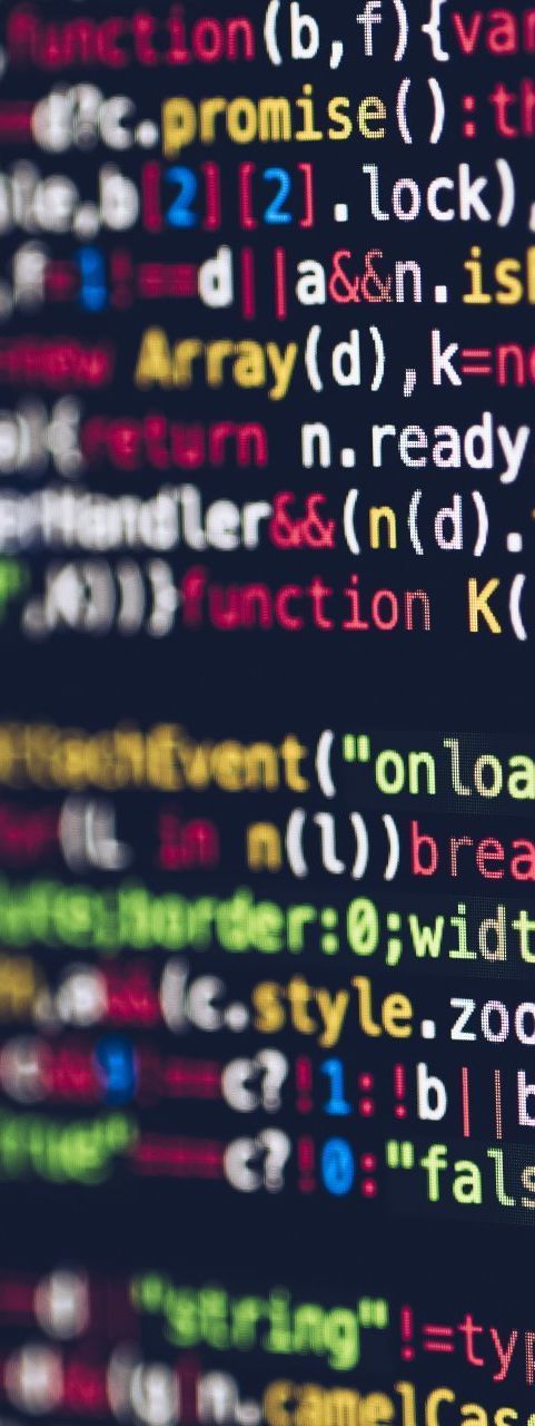 diseño y desarrollo w eb en Puerto Vallarta; web desgin and development