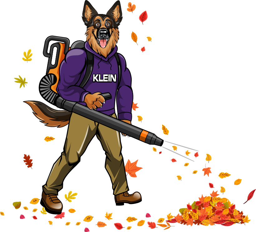 A german shepherd wearing a klein shirt is holding a blower