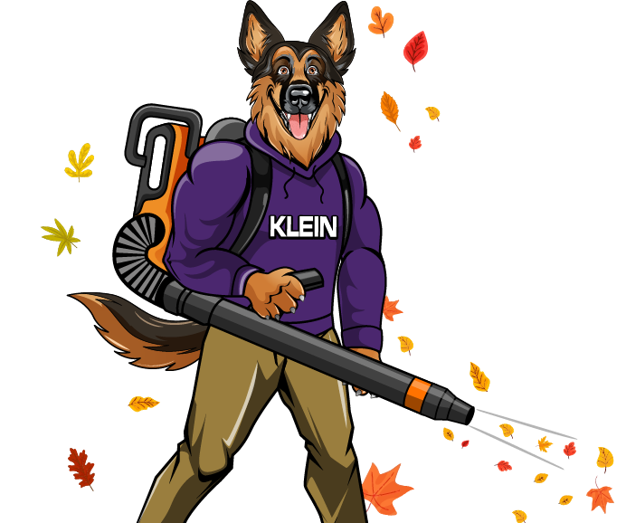 A german shepherd wearing a purple klein hoodie is blowing leaves