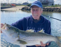 A person wearing a blue cap and hoodie smiles while holding a large, striped fish near a waterway and coastal homes.