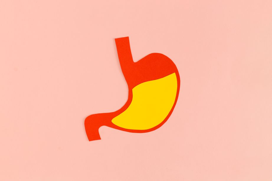 stomach