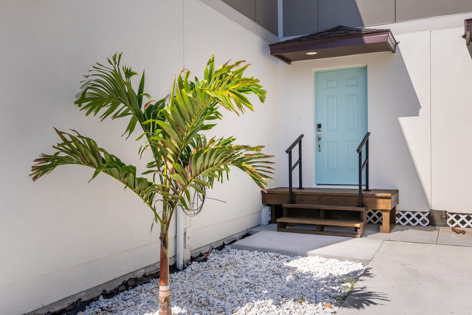 a palm tree is in front of a white house with a blue door