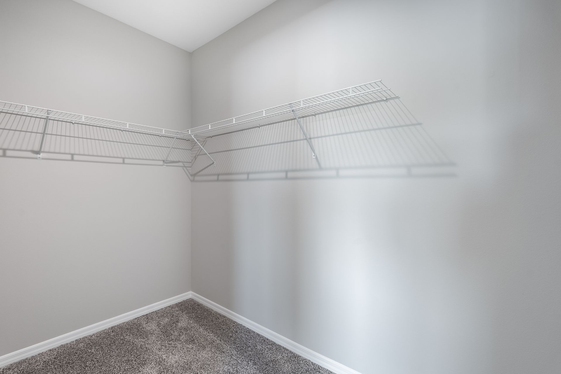 an empty walk in closet with a carpeted floor and shelves .
