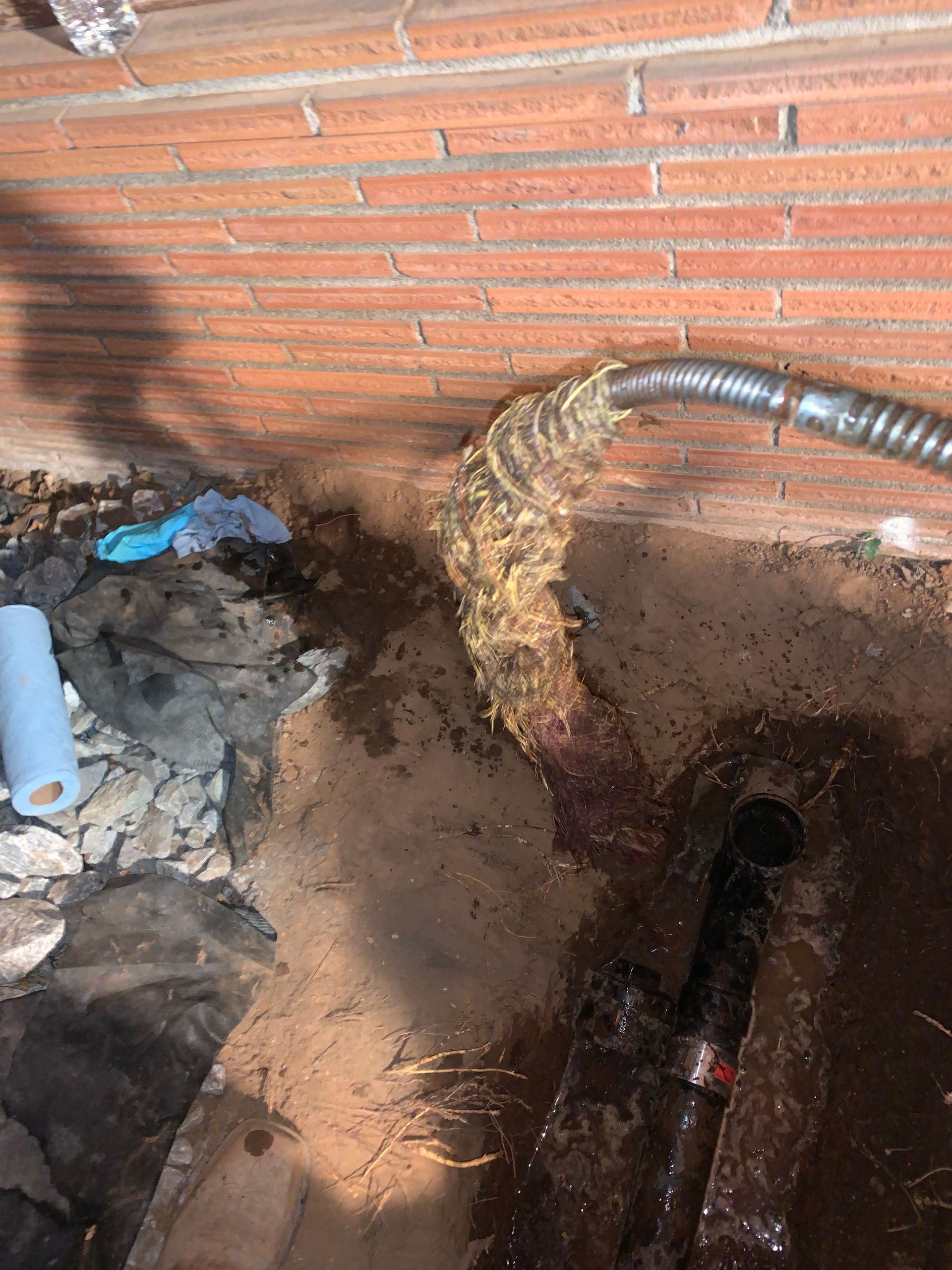 A hose is coming out of a hole in the ground next to a brick wall.