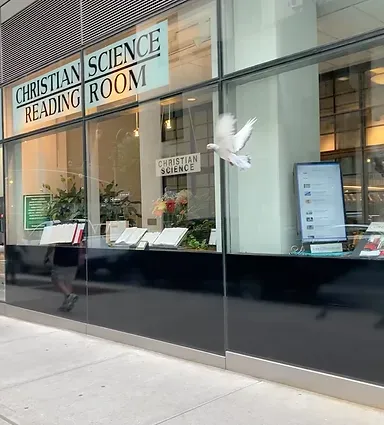 A bird is flying in the window of a christian science reading room.