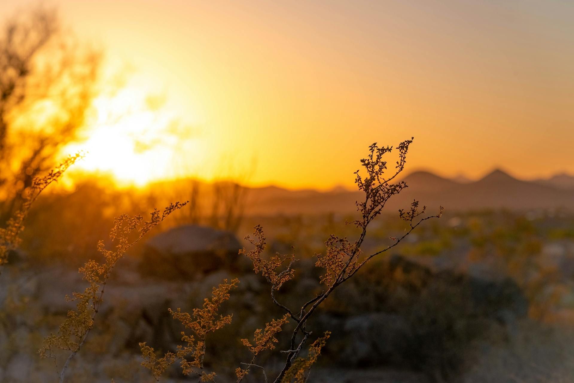Sun setting over a desert landscape with scrubby vegetation and hazy mountains in the distance.