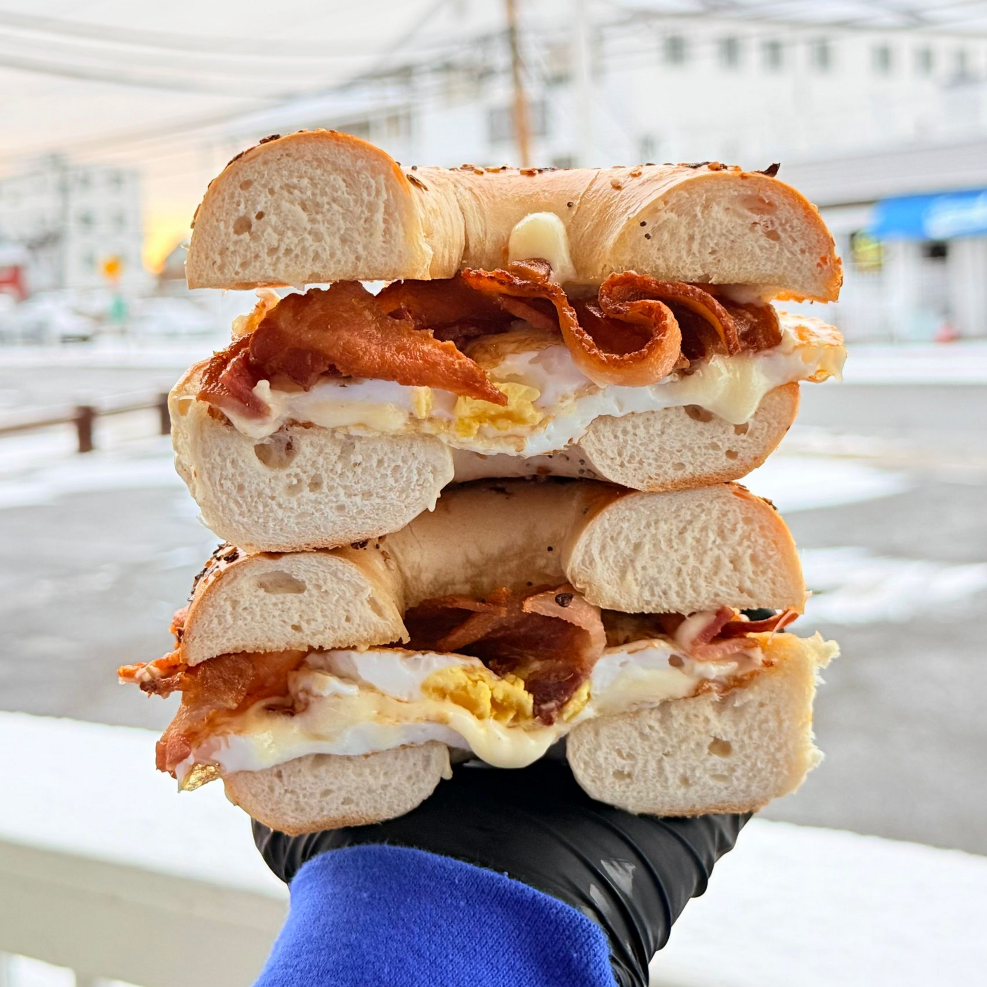 OPT on an Everything Bagel