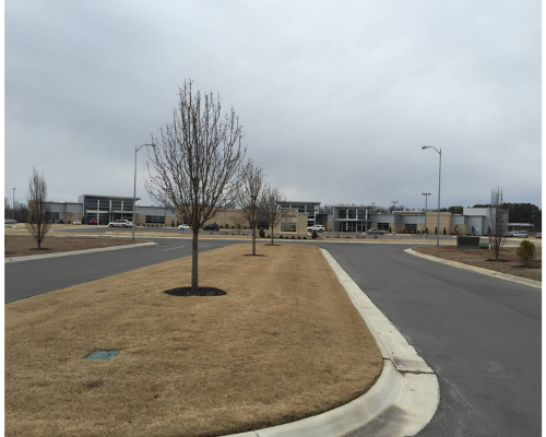 Overcast suburban street with leafless trees, dry grass medians, and low buildings in the distance