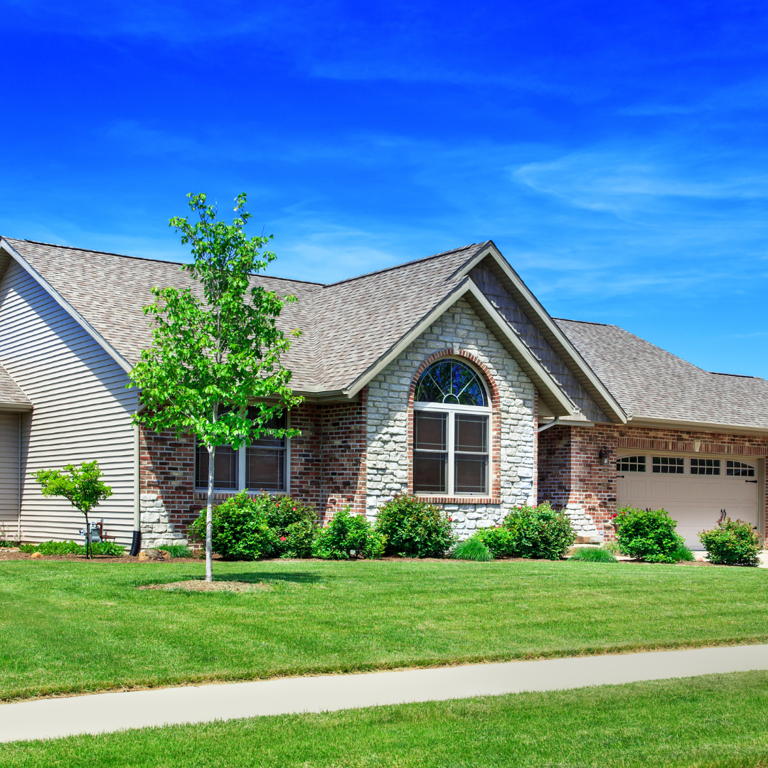 A house with a lot of grass and a tree in front of it.