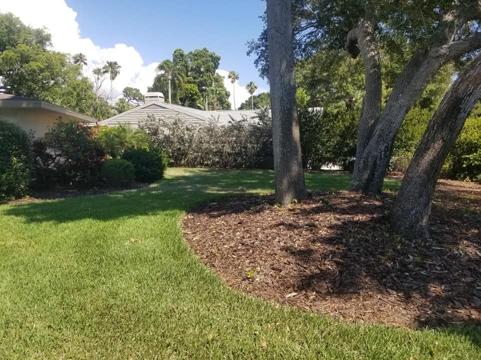 A lush green lawn with trees in the background and a house in the background